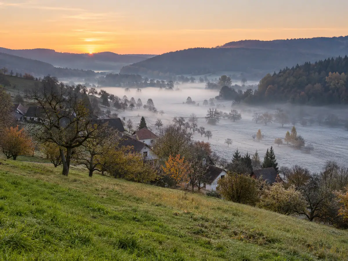 Bílé jíní pokrývá jen dno travnatého dolíku, svah nad ním zůstává zelený.